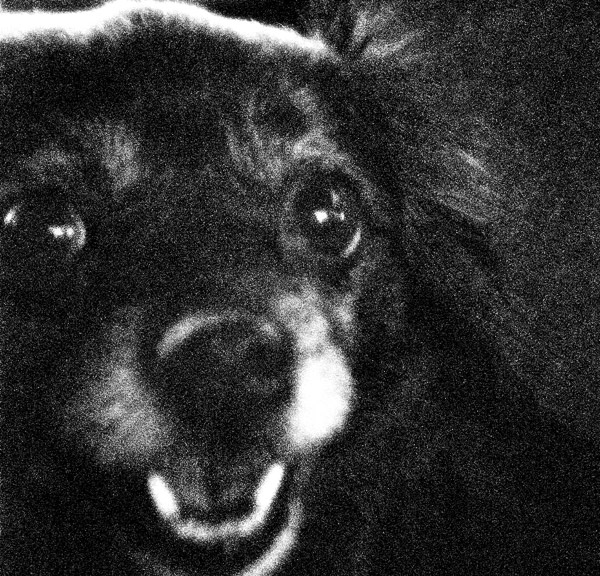 2009-01-01-misc-0818