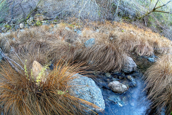 2009-01-10-sunol-9631h