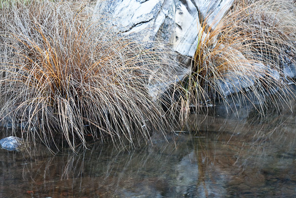 2009-01-10-sunol-9641