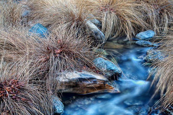 2009-01-17-sunol-9783h