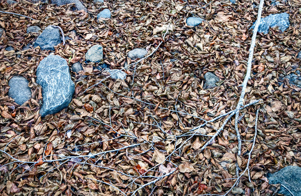 2009-01-17-sunol-9821h