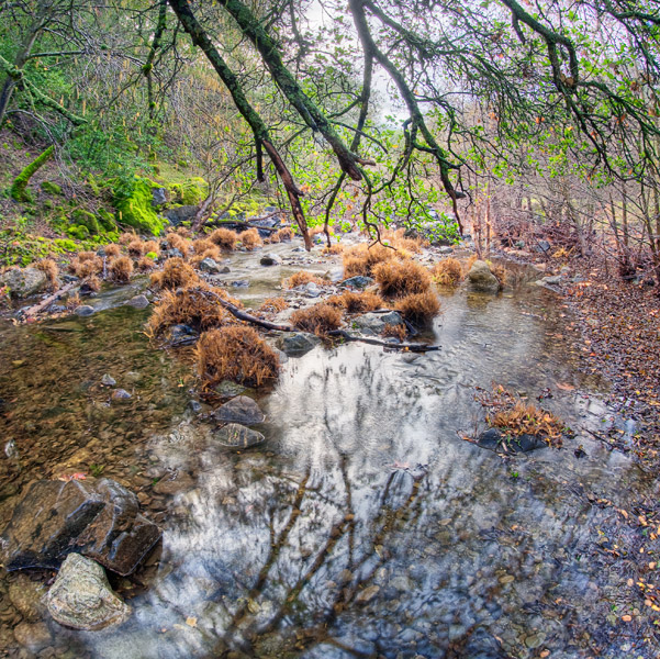 2009-01-22-sunol-0128h