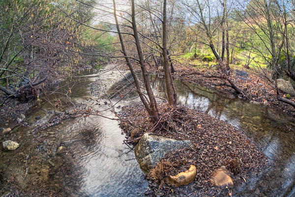2009-01-22-sunol-0140h