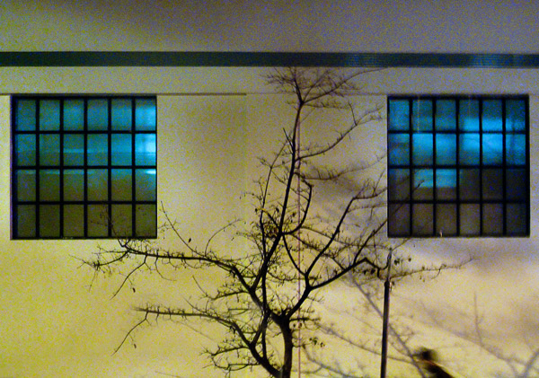 2009-02-07-misc-0886