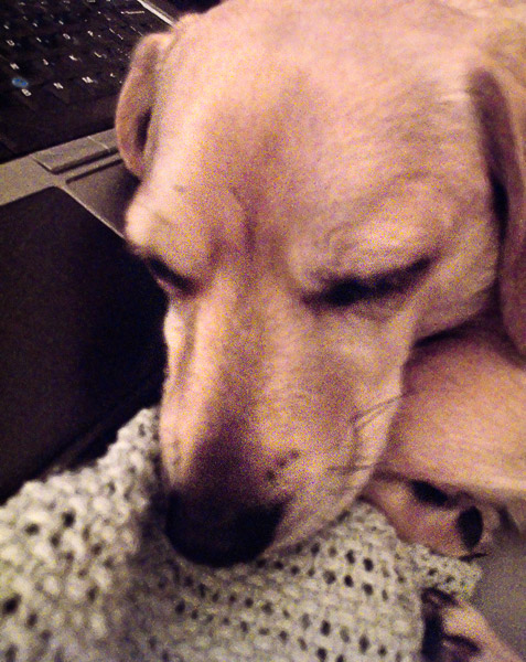 2009-02-19-misc-0918a