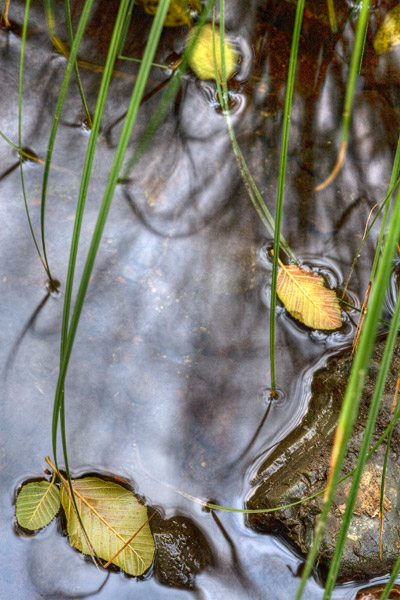 2008-10-20-Sunol-8427H