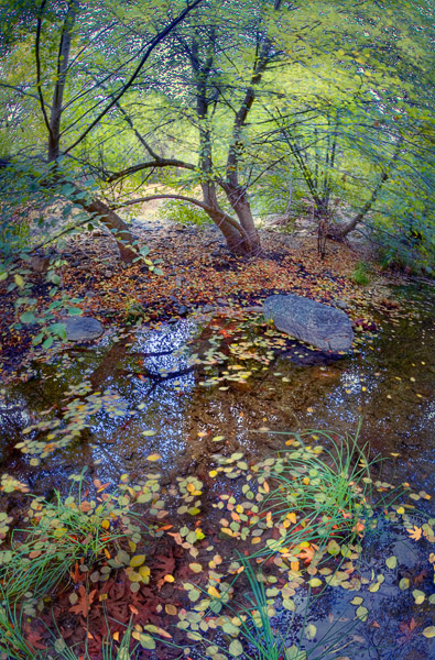 2008-10-19-Sunol-8367H