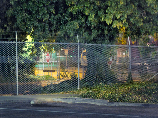 2008-11-14-Misc-0041