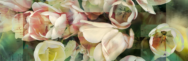 2008-11-11-Misc-8465C