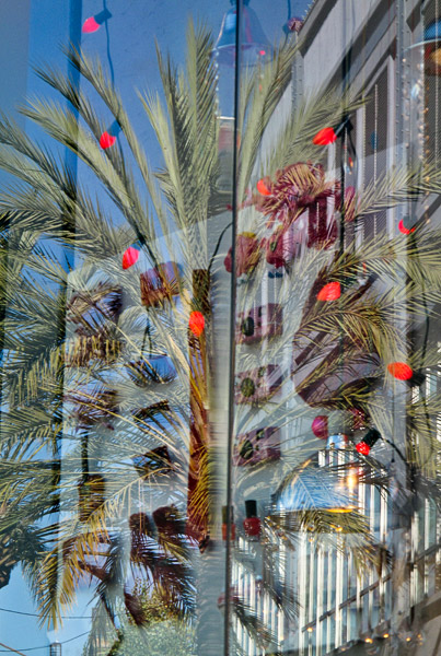 2008-11-15-Santana-Row-0127