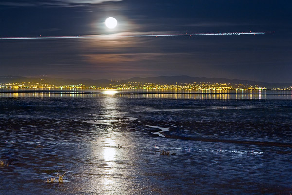 2008-11-15-Night-8501