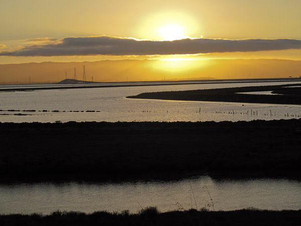 2008-11-20-Don-Edwards-0219