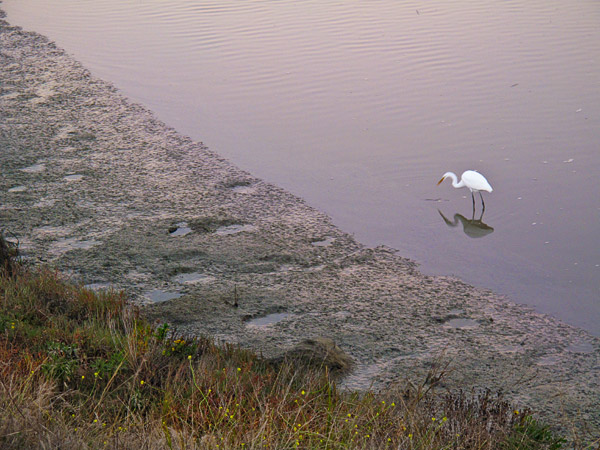 2008-11-20-Don-Edwards-0258