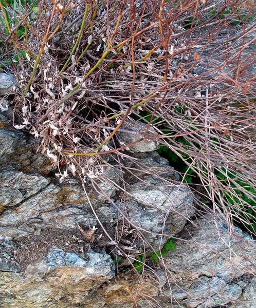 2008-11-20-Don-Edwards-0240