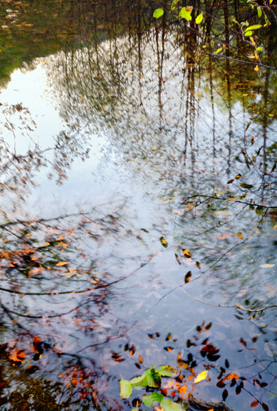 2008-11-28-Sunol-8783H