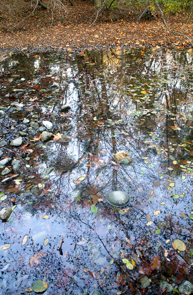 2008-12-07-Sunol-8902H2