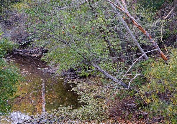 2008-12-07-Sunol-9019H