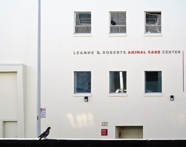 2008-12-06-Misc-0585