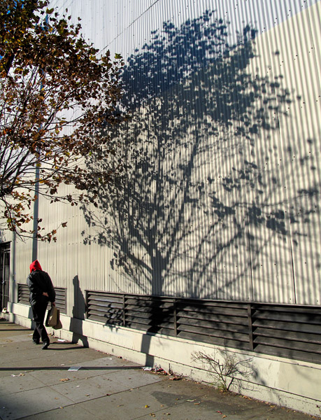 2008-12-06-Misc-0602