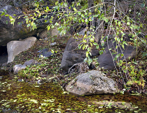 2008-11-28-Sunol-8639