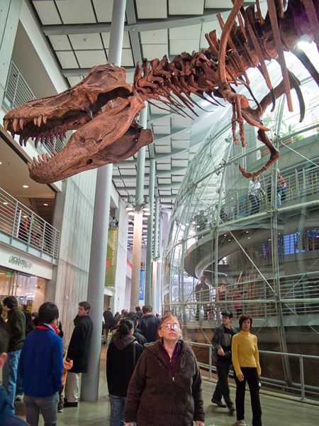 2009-01-01-Misc-0832