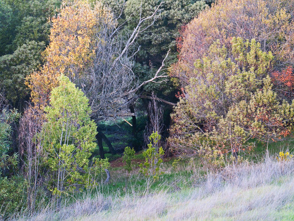 2009-01-01-Misc-0773