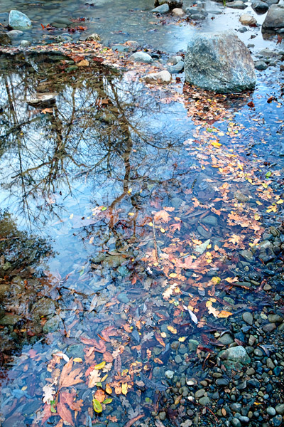 2009-01-12-Sunol-9706H