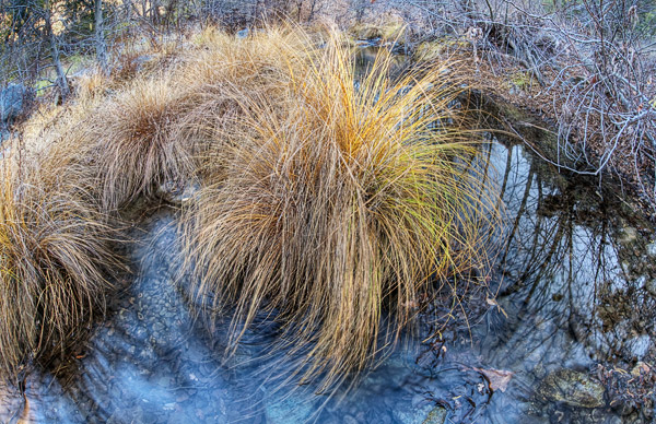 2009-01-10-Sunol-9506H