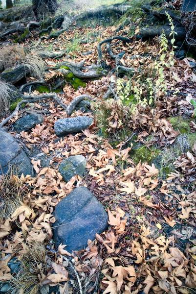 6a00d8341bf6a953ef01053712ae83970b-800wi