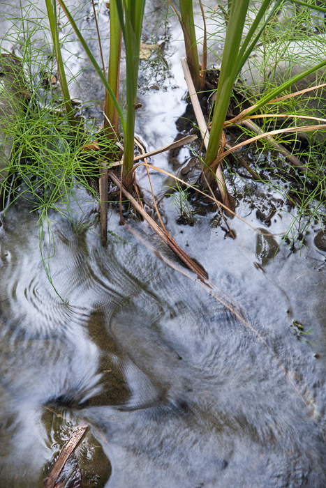 2010-06-20-Sunol-3795.jpg