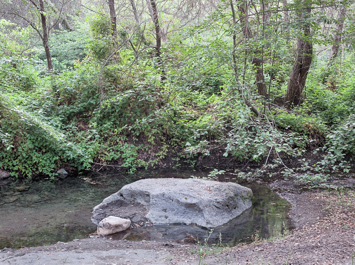 2010-06-24-Sunol-4130.jpg