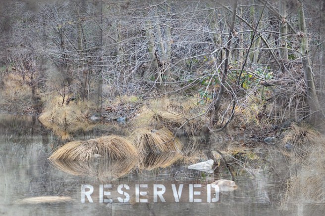 6a00d8341bf6a953ef014e605d41dd970c