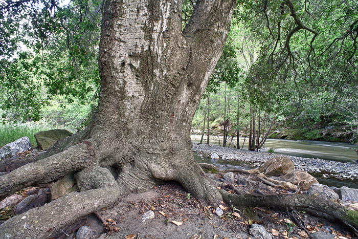 2011-04-24-Sunol-7027_HDR.jpg
