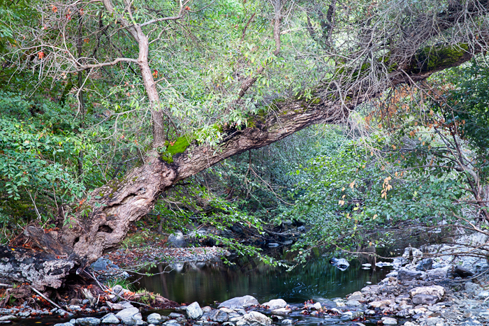 2011-10-08-Sunol-7868_HDR-Edit2.jpg
