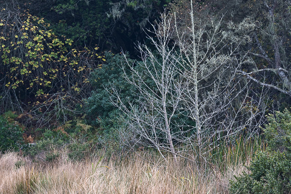 adding_clarity_final