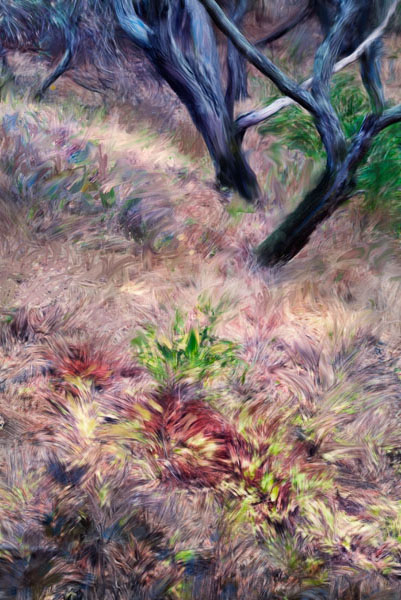 final_2007-09-17 Sunol-2100