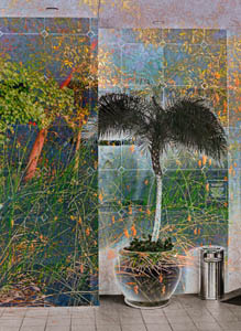 shadow-and-highlights